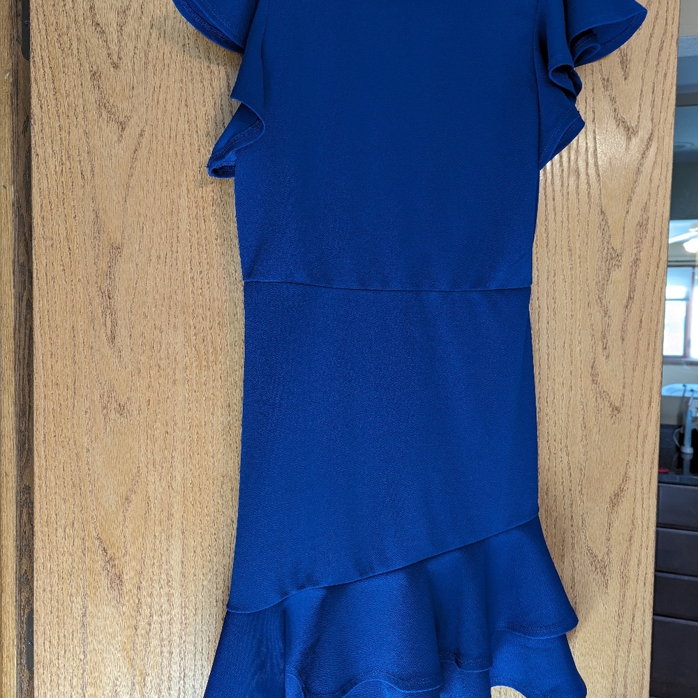 Fit and flare silhouette dress with ruffle.  Size large.  Deep blue.